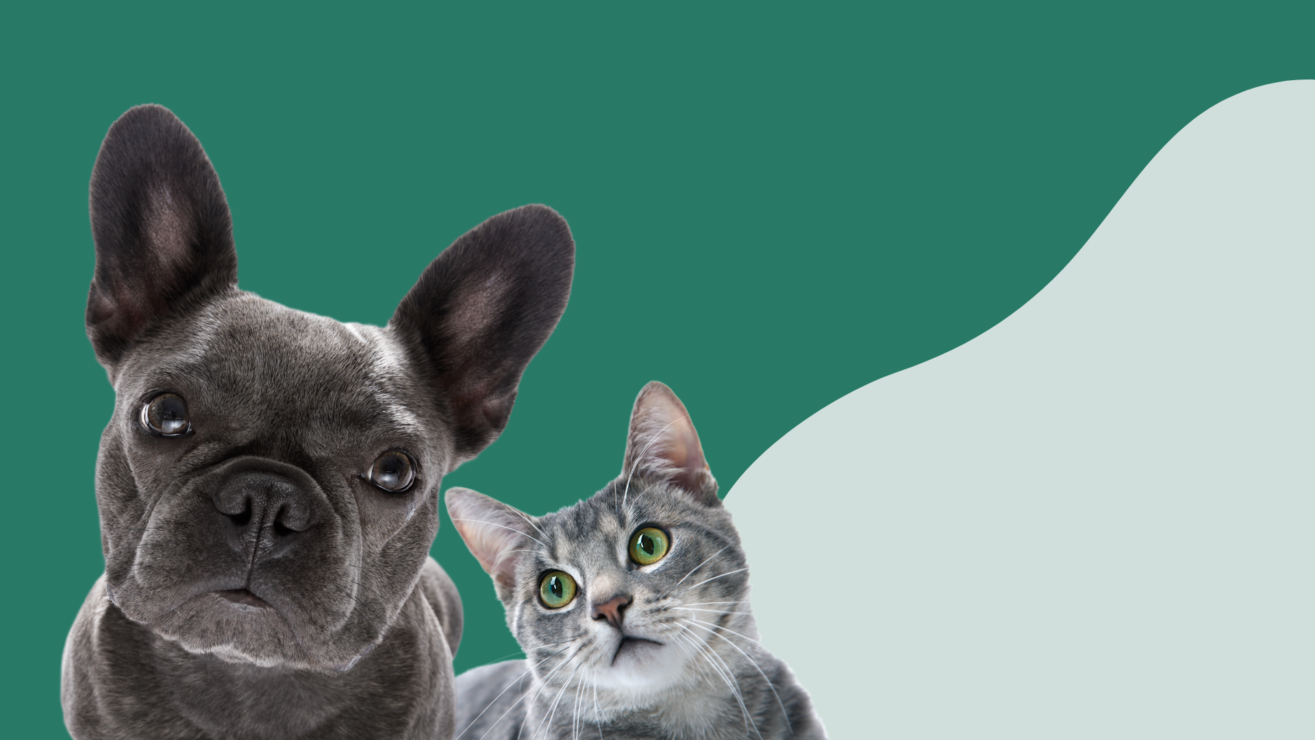 Tu Centro Veterinario <br/> de confianza en <br/>Alcobendas